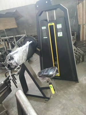 OEM Body Building Gym Exercise Triceps Curl Machine Coating پودری