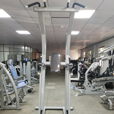 تناسب اندام بدنسازی Chin Up Bar Body Fit Machine OEM ODM