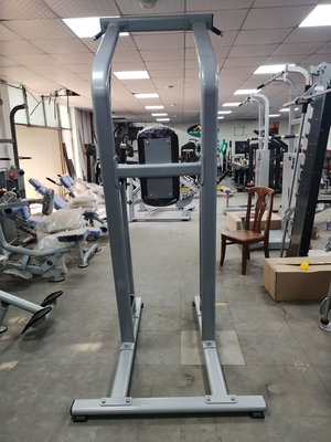 تناسب اندام بدنسازی Chin Up Bar Body Fit Machine OEM ODM